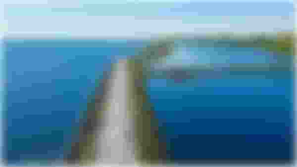 image alt text